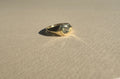 Vela ring - Mellis Fine