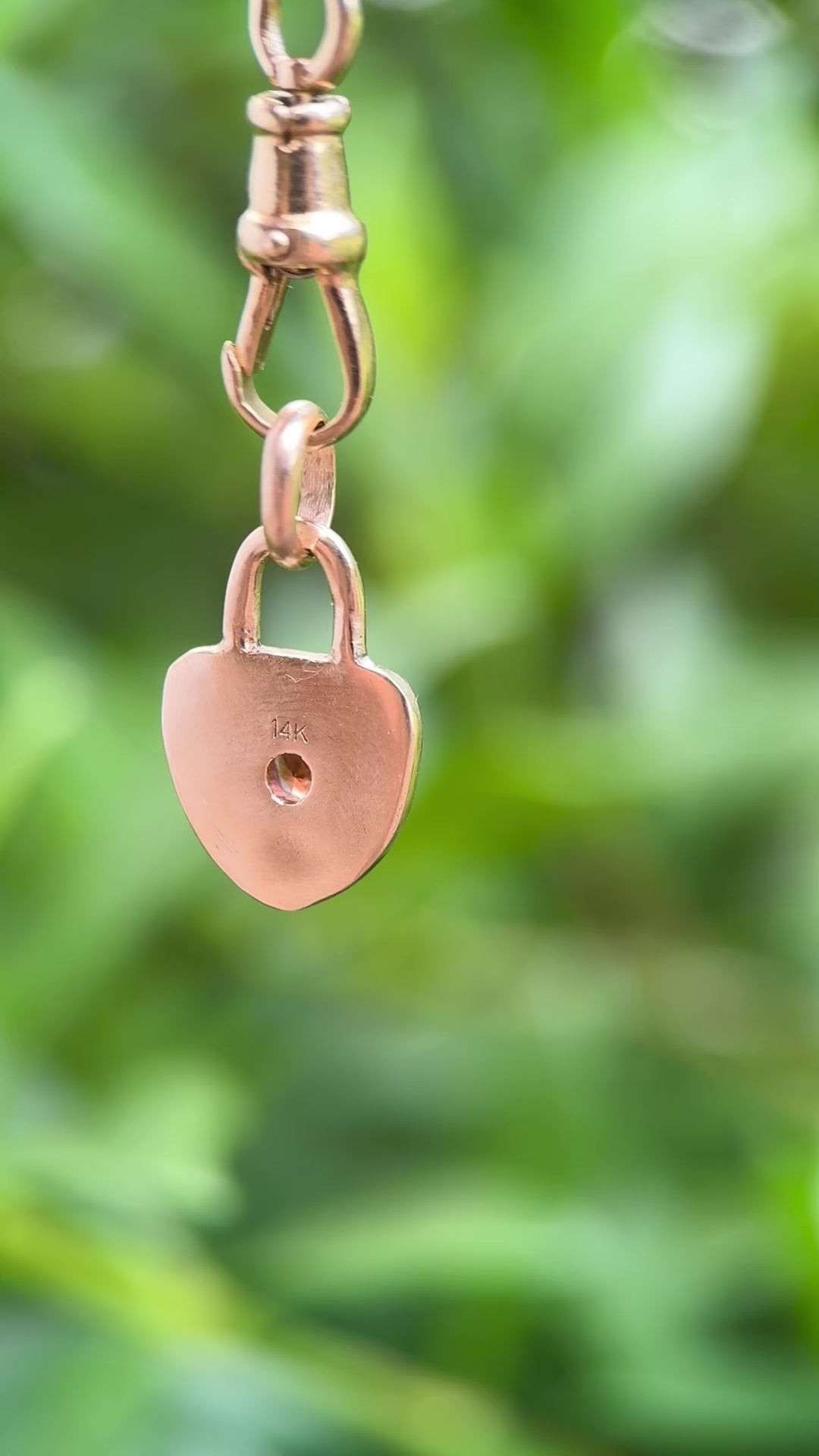 Vine keep charm